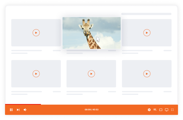 a video player playing with an image of a video website which contains 6 videos, and one of them pictures a giraffe as a content